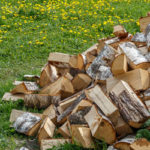 Firewood attracts termites to homes in Albuquerque NM - Pest Defense Solutions