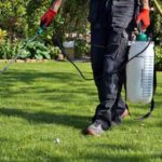 Technician servicing a lawn in Albuquerque - Pest Defense Solutions