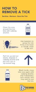 Tick removal guide - Pest Defense Solutions in Albuquerque