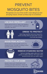 How to prevent mosquito bites in  Albuquerque NM - Pest Defense Solutions Albuquerque