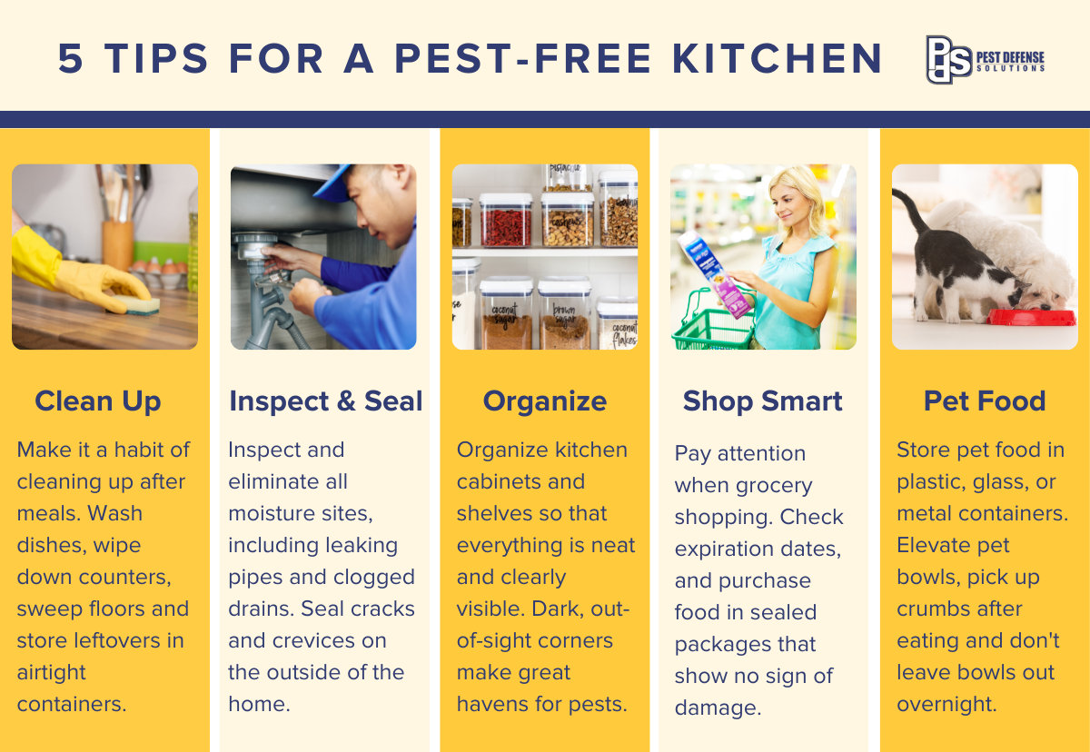 Infographic on preventing kitchen pests in Albuquerque NM - Pest Defense Solutions