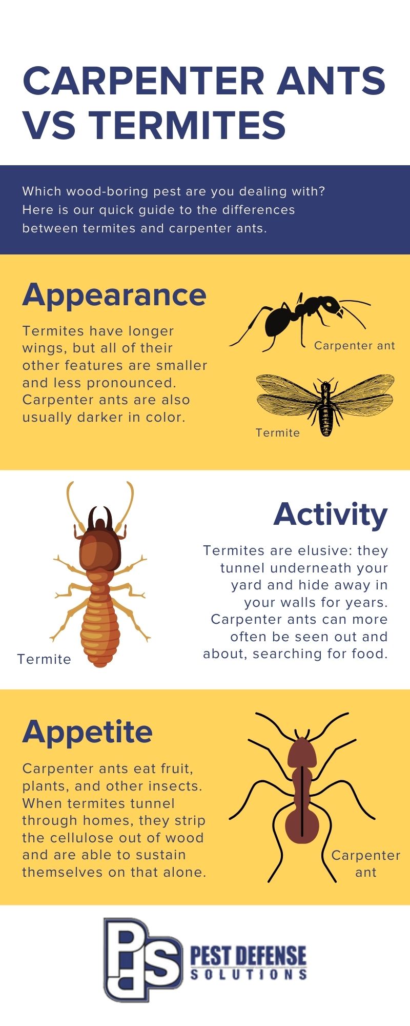 Difference of carpenter ants vs termites in Albuquerque NM - Pest Defense Solutions